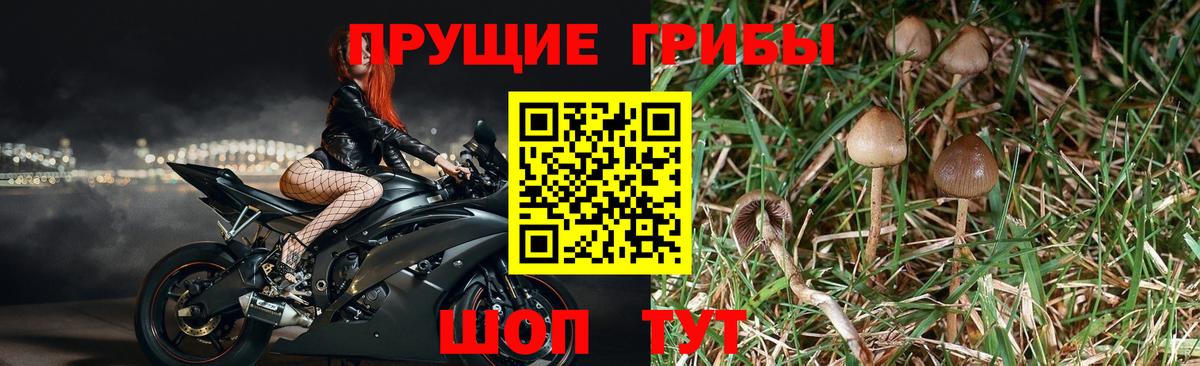 Псилоцибиновые грибы Magic Shrooms  Галлюциногенные грибы ЛСД  Наро-Фоминск  Вход с VPN 